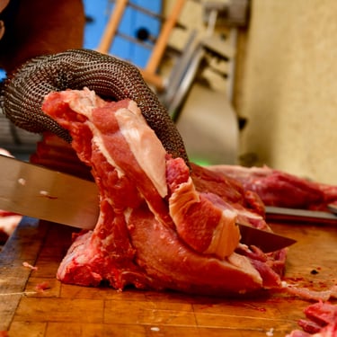 ach 3343 azgmvgqqqgimglov