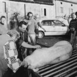 La tuade du cochon : mémoire d’un rituel paysan ardéchois